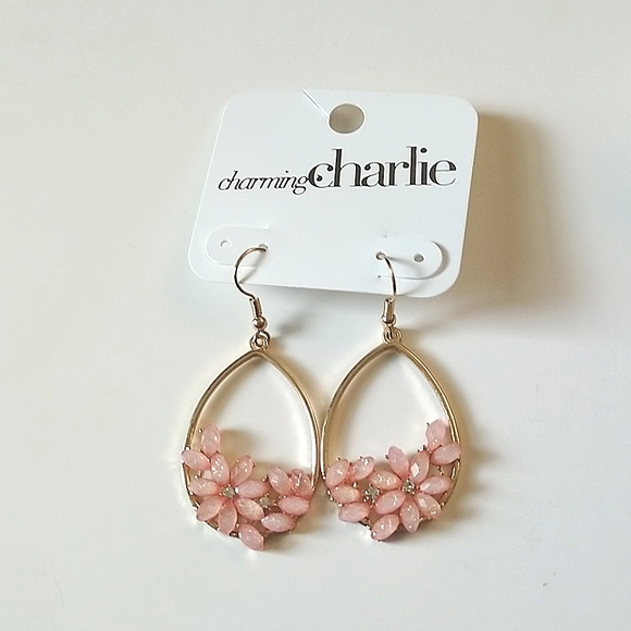 4/$20❤️ Brand New Charming Charlie Earrings - Picture 3 of 3